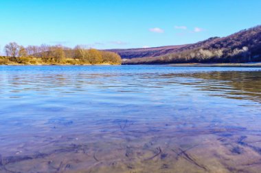 Nehir kıyısının güzel manzarası sakin bir kış yaban hayatı. Metin için kopyalama alanı olan arkaplan