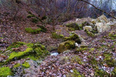 Rocky wilderness. Background or backdrop with selective focus and copy space for text