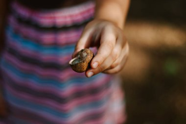 Moments of childhood. The child holds snails in his hands. Copy space. Children's outdoor games.