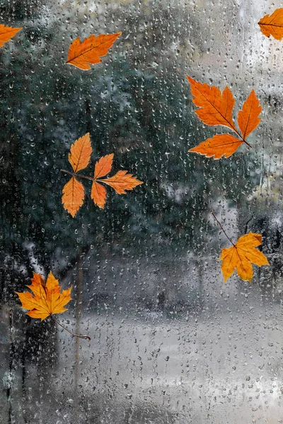 빗방울 창문에 떨어져 있습니다 날씨는 전형적 날씨이다 창문의 — 스톡 사진
