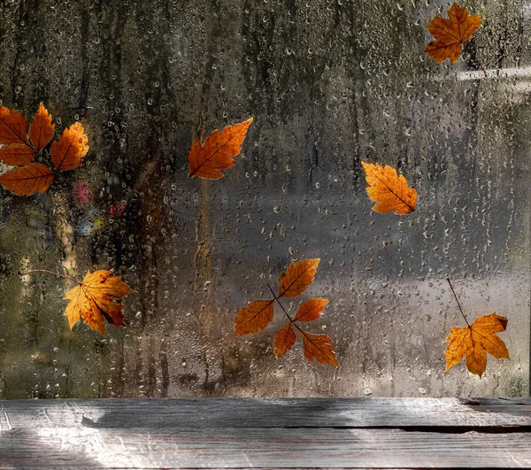 Raindrops and fallen leaves on the window. The weather is typical autumn. Autumn window background.