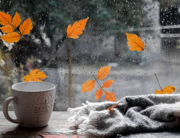 Raindrops and fallen leaves on the window. The weather is typical autumn. Autumn window background. A cup and a plaid or scarf on the window. Cozy morning.