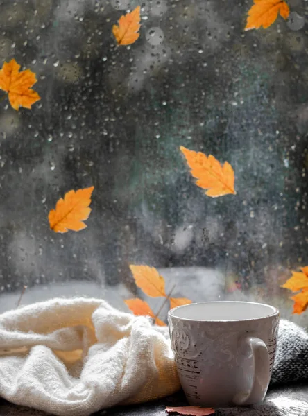 Raindrops and fallen leaves on the window. The weather is typical autumn. Autumn window background. A cup and a plaid or scarf on the window. Cozy morning.