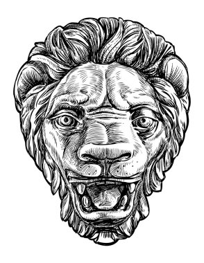Aslan namlu