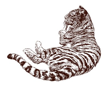 Lying tiger clipart
