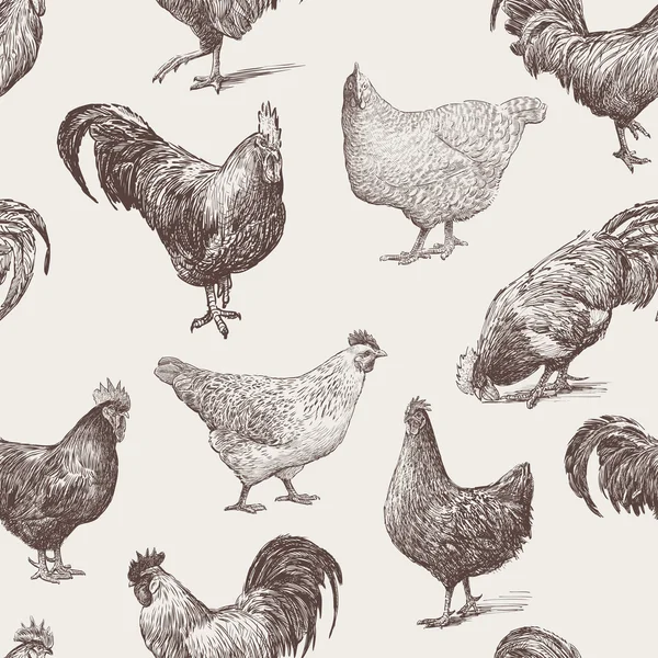 Pollas y gallinas — Vector de stock