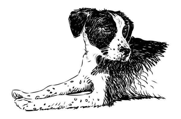 Lindo perro — Vector de stock