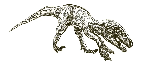 Dinosaure — Image vectorielle