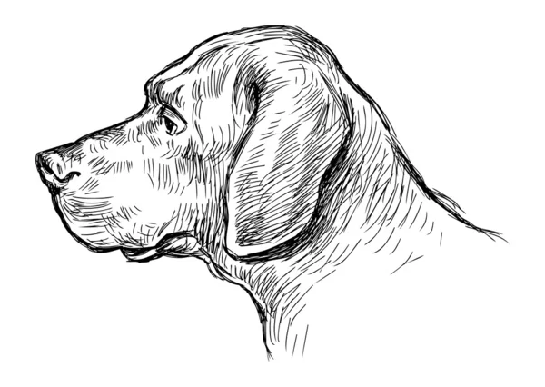 Perfil del perro — Vector de stock