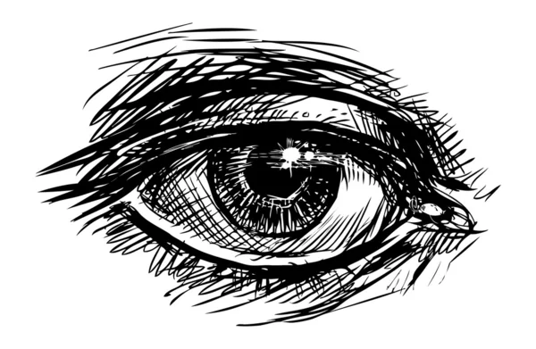 Schizzo dell'occhio — Vettoriale Stock