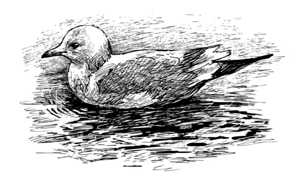 Πλωτή bird — Διανυσματικό Αρχείο