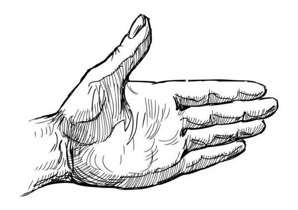 Menselijke hand — Stockvector