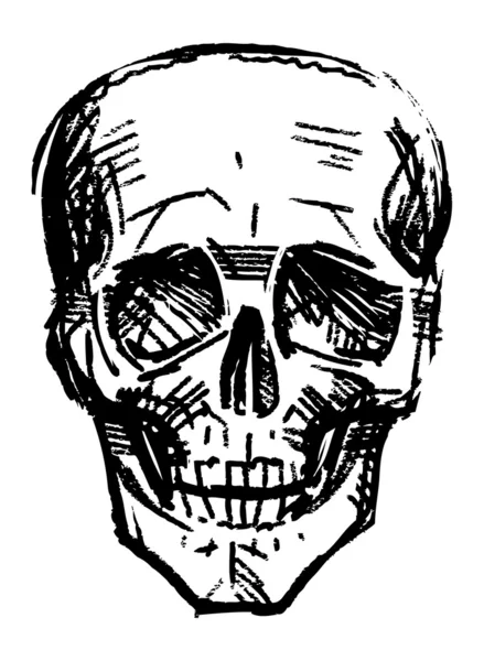 Szkic czaszki — Wektor stockowy