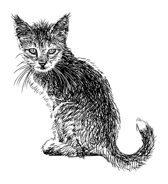 Chaton assis — Image vectorielle