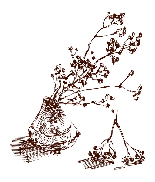 Natura morta con un bouquet asciutto — Vettoriale Stock