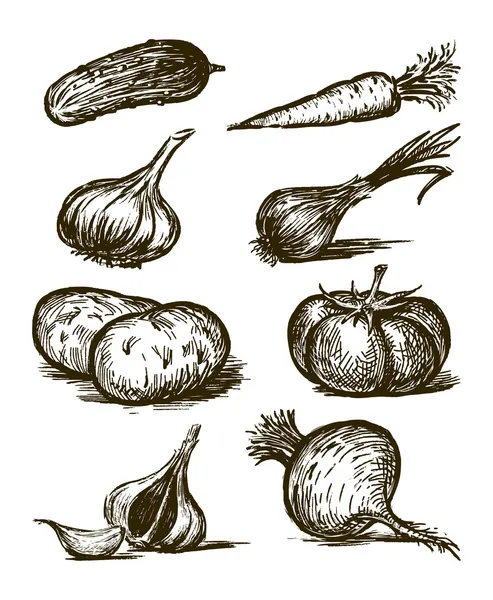 Produtos hortícolas —  Vetores de Stock