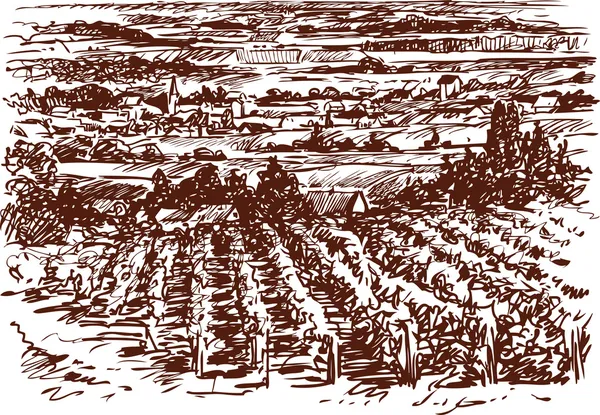 Paysage villageois avec vignobles — Image vectorielle