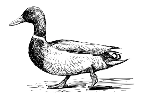 Eğil.