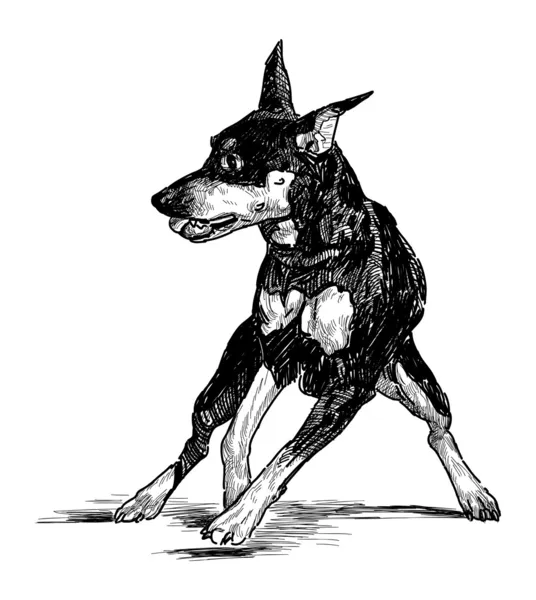 年轻的小猎犬 — 图库矢量图片