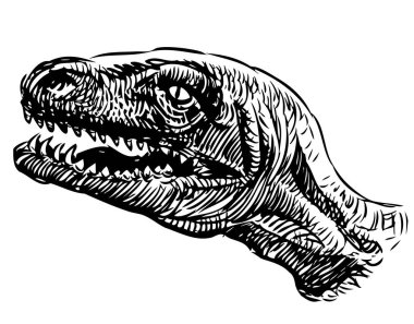 Eski soyu tükenmiş dinozorun serbest çizimi