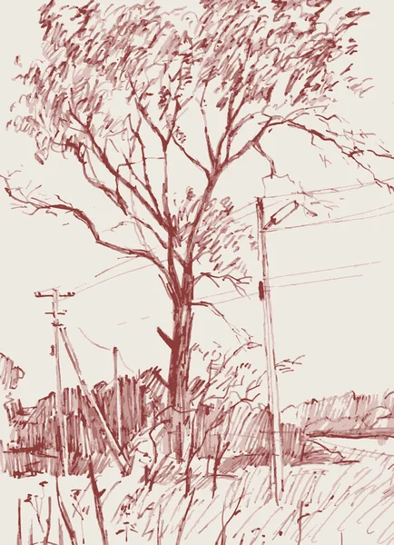 Dessin Main Paysage Rural Avec Vieil Arbre Ligne Électrique — Image vectorielle