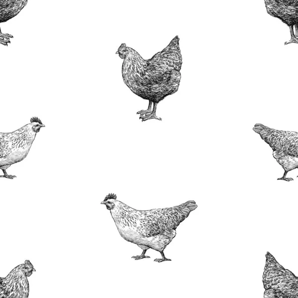 Seamless Background Sketches Black White Farm Hens — Stock Vector