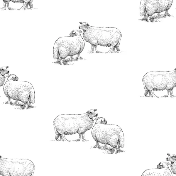 Çizimlerin Kusursuz Deseni Beyaz Evcil Koyunlar — Stok Vektör