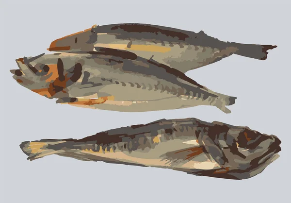 Aquarellzeichnung Von Gefangenem Frischen Fisch Zum Kochen — Stockvektor