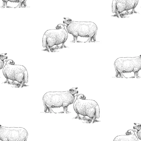 Çizimlerin Kusursuz Deseni Beyaz Evcil Koyunlar Telifsiz Stok Illüstrasyonlar