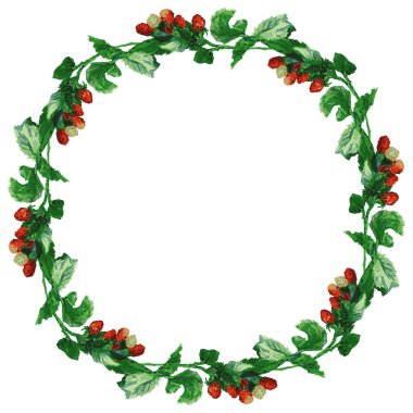 Olgun kırmızı böğürtlen ve yeşil yapraklı ahududu dallarının suluboya çizimlerinden dekoratif çelenkler.