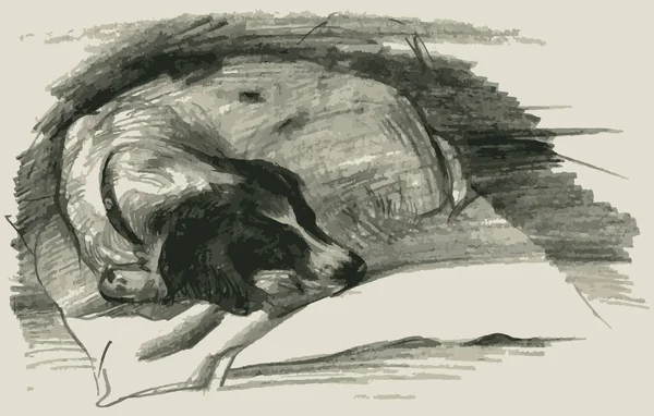 Dibujo Lápiz Del Perro Spaniel Dormido — Archivo Imágenes Vectoriales