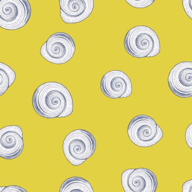 Çizimlerin kusursuz deseni dekoratif deniz kabukları.