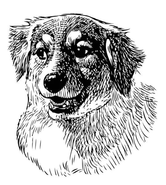 Ручной Рисунок Портрета Милой Домашней Собаки — стоковый вектор