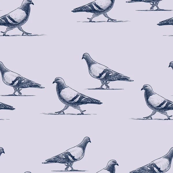 Seamless Pattern Walking Grey Pigeons Sketches — Stock Vector