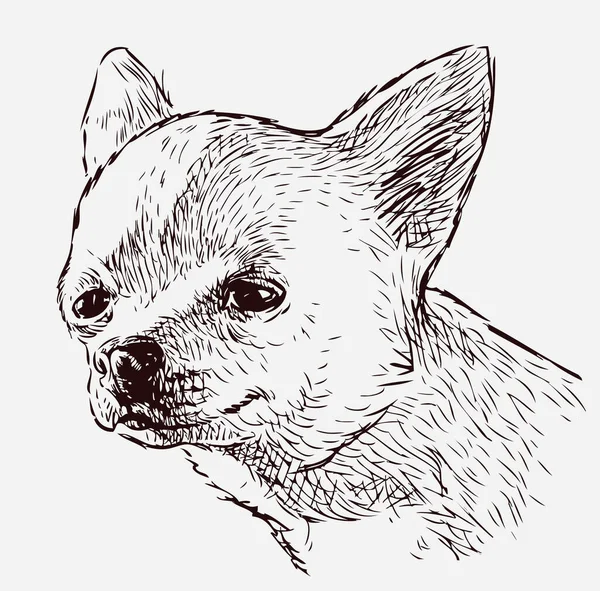 Скетч Портрет Милой Улыбающейся Смешной Собаки — стоковый вектор