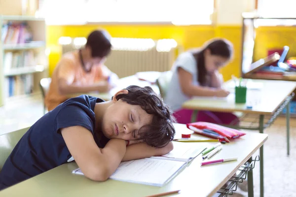 Caucasian Child Sleeping Class While His Classmates Doing Homework — Stock Photo, Image