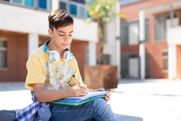 Estudiante Educación Secundaria Estudiando Aire Libre Espacio Para Texto — Foto de Stock