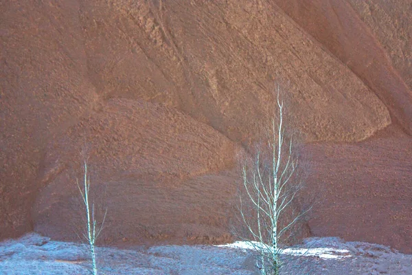 Genç huş ağaçları ve kilden ve endüstriyel atıktan oluşan kahverengi bir dağın eteklerinde. Endüstriyel atık yığınları.