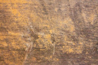 Ağaç dalları yakın planda olan ahşap bir tahta. Gri arkaplan, ahşap, sarı desenli..