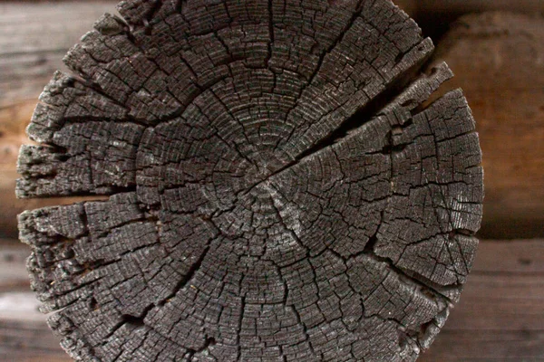 Bölümde Ahşap Bir Kütük Yaşlı Kurumuş Ağaç Siyaha Döndü Eski — Stok fotoğraf