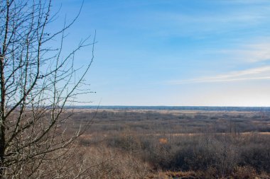 Mavi bir gökyüzünün altındaki sonbahar vadisinin arka planında yaprakları dökülmüş bir ağaç. Parlak güneşli bir günde sonbahar manzarası.