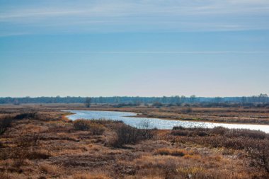 Mavi gökyüzünün altında küçük bir dere ve sararmış sonbahar otları. Parlak güneşli bir günde sonbahar manzarası.