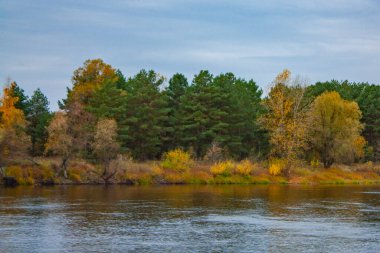 Bulutlu bir günde mavi nehrin karşı kıyısında güzel, yeşil bir orman. Sonbahar manzarası.