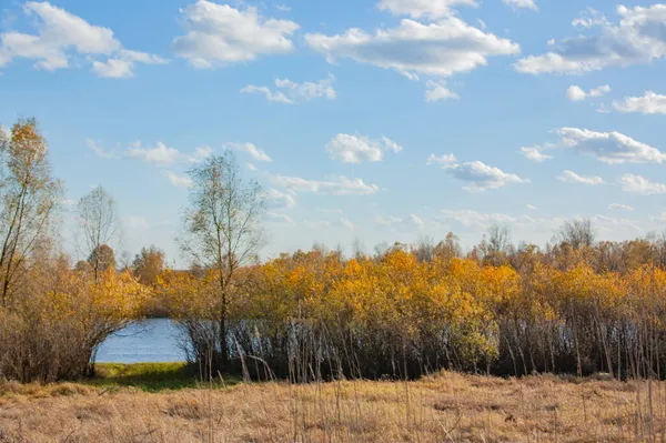 Paisaje Otoñal Día Soleado Brillante Arbustos Amarillos Orilla Del Río —  Fotos de Stock