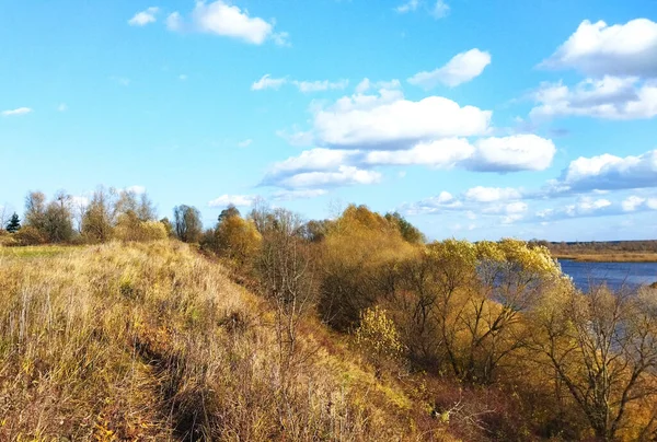 Piękny Jesienny Krajobraz Przy Przejrzystej Słonecznej Pogodzie Żółta Trawa Drzewa — Zdjęcie stockowe