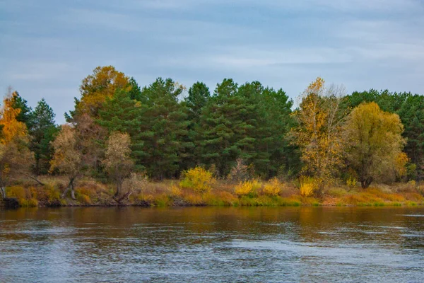 Schöner Grüner Wald Gegenüberliegenden Ufer Des Blauen Flusses Einem Bewölkten — Stockfoto