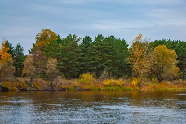 Beautiful Green Forest Bank Blue River Cloudy Day Autumn Landscape — Stock Photo, Image