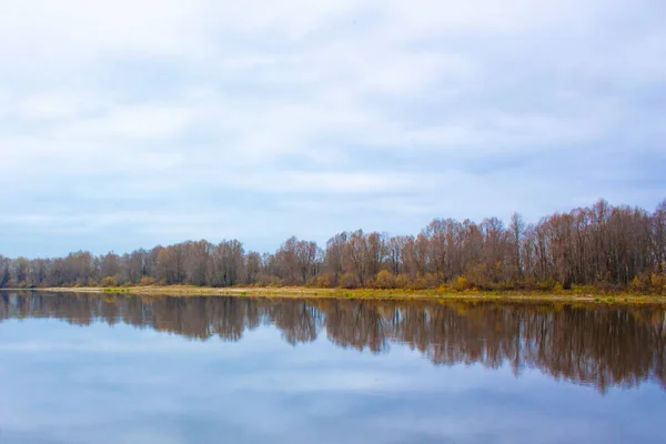 Suyun pürüzsüz yüzeyinde sonbahar ormanının yansıması. Nehrin karşı kıyısının sonbahar manzarası bulutlu havada.