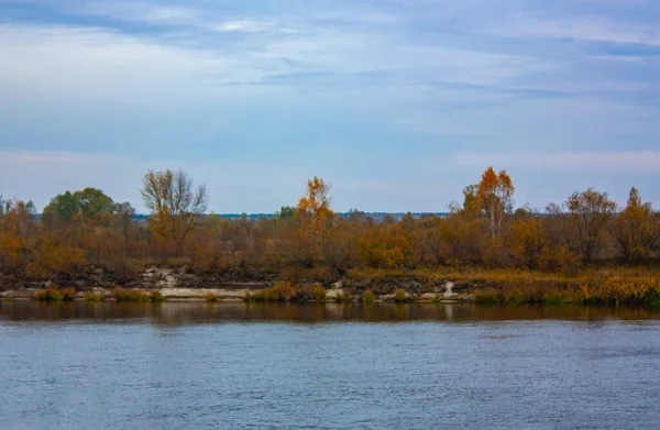 Yellow Vegetation Steep Bank River Cloudy Day Autumn Trees Bushes — Stock Photo, Image