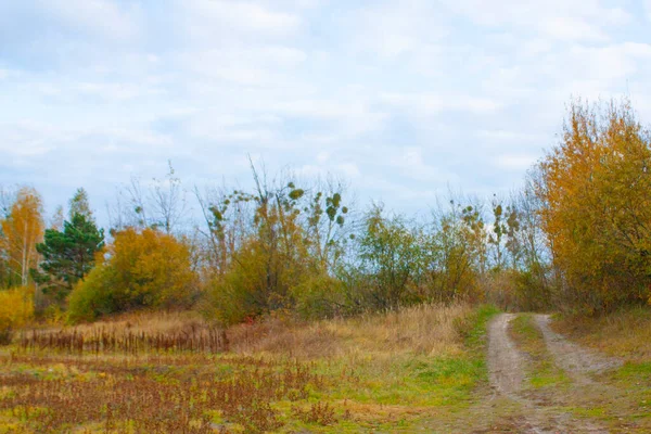 Une Route Rurale Menant Forêt Automne Paysage Automne Avec Arbres — Photo